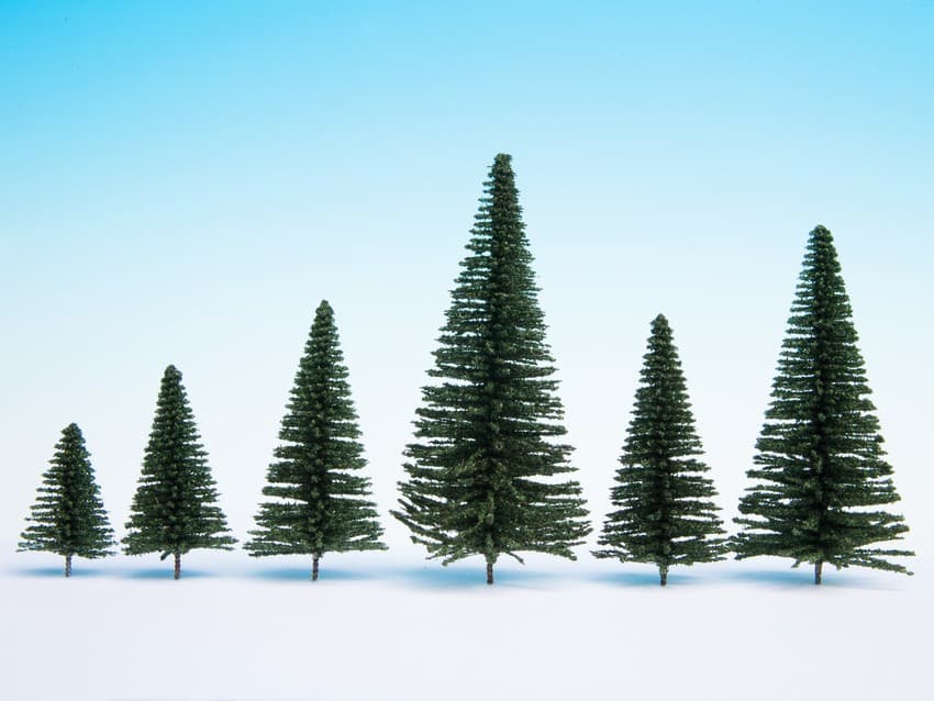 NOCH| Lot of 25 spruce trees from 5 to 14cm high| | NOC26830