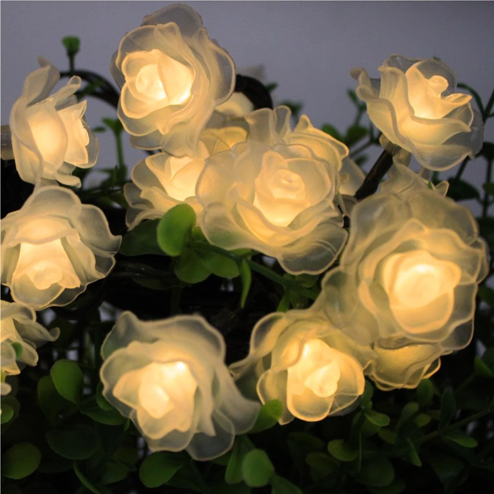 3M 20-Flower Rose Lights| Mood-Creating Led Illumination Lights| Romantic| Usb-P