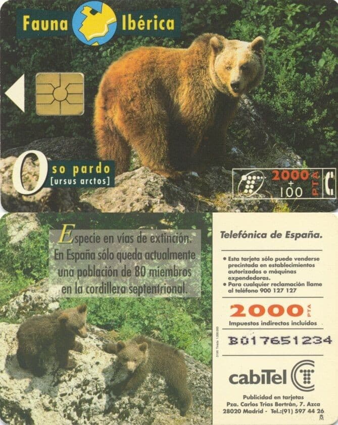 2000+100 PTA. Iberian Fanua. cabitel. Brown Bear (ursus arctos).