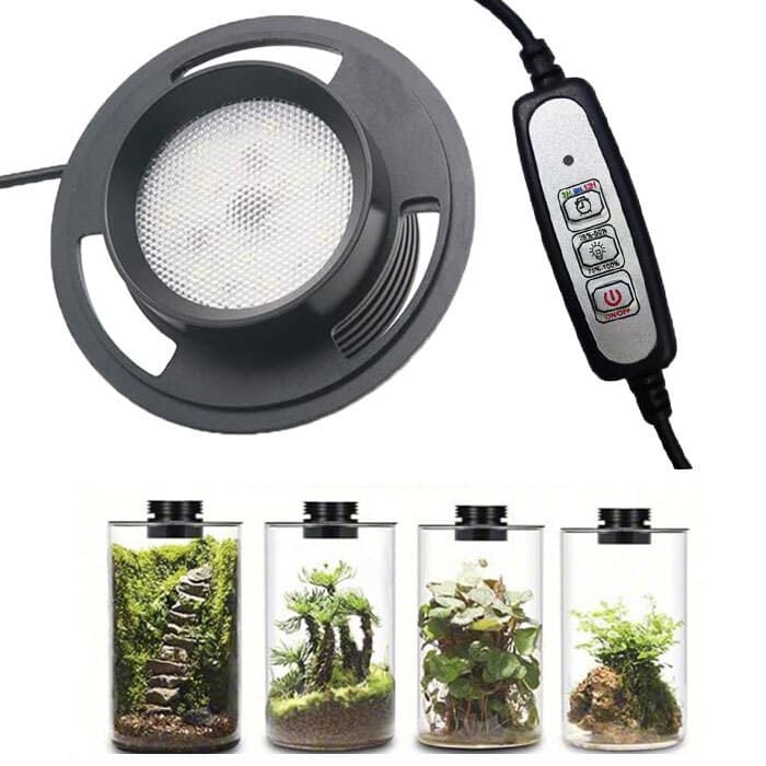 New Dimmable USB Terrarium Plant Growing Lamp with Timer for Vases,Succulent Lig
