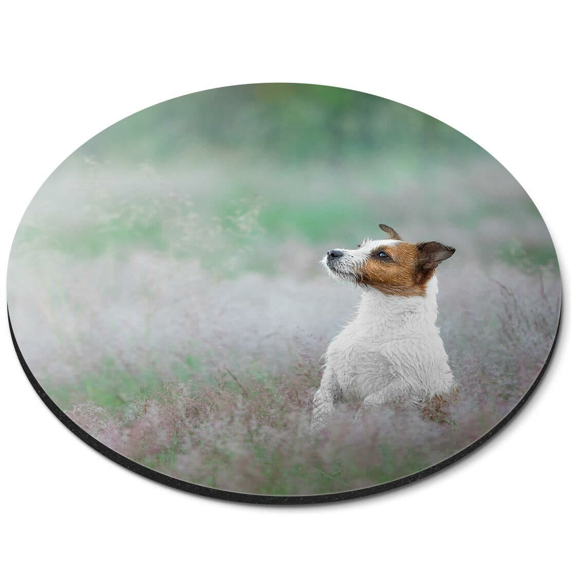 Round Mouse Mat  - Cheeky Jack Russell Terrier Dog Puppy  #44564