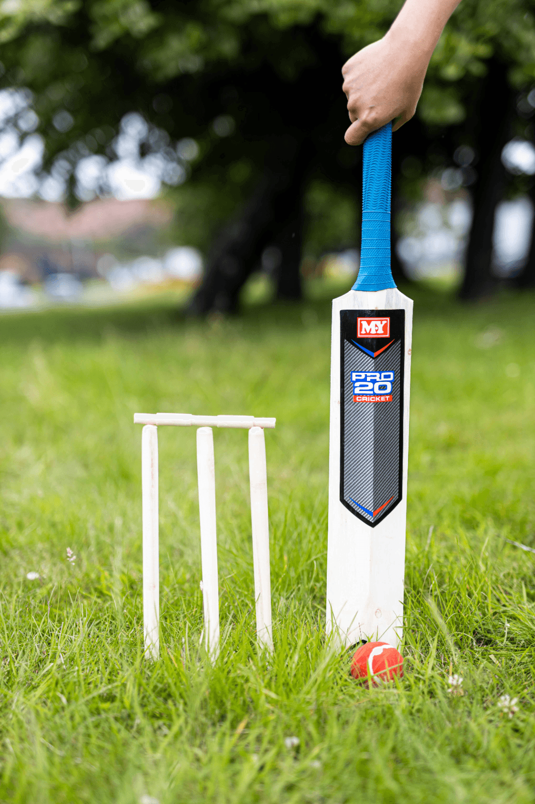 Kids Cricket Bat Set Stumps Ball Mesh Carry Bag Outdoor Fun Play Games Children