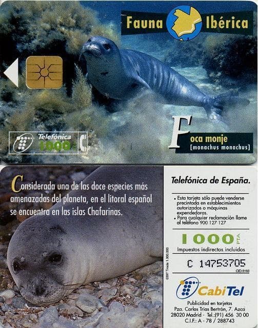 1000 PTA. Iberian fauna. Monk seal. CabiTel.