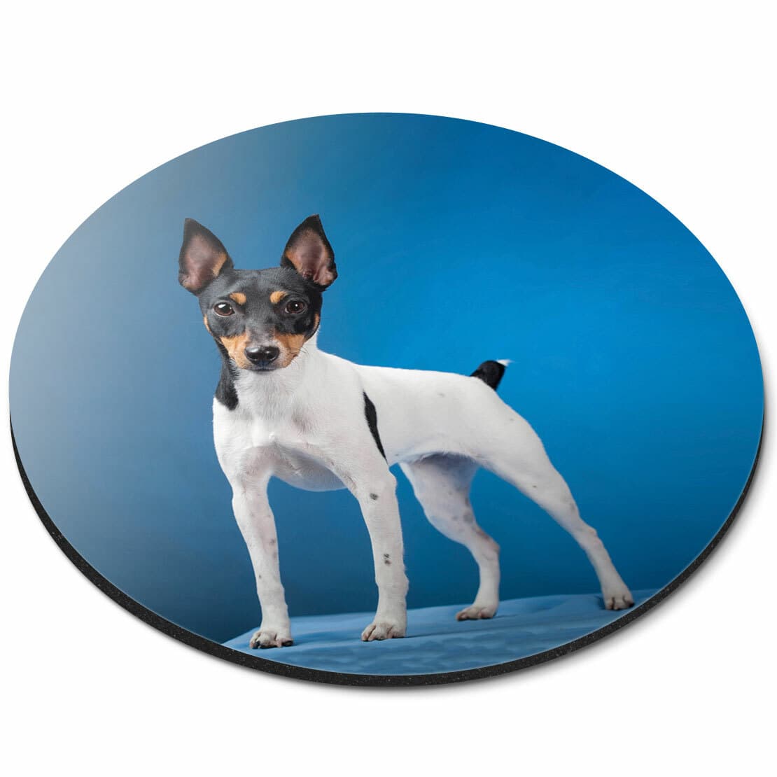 Round Mouse Mat - Toy Fox Terrier Dog Puppy Fun Office Gift #2222