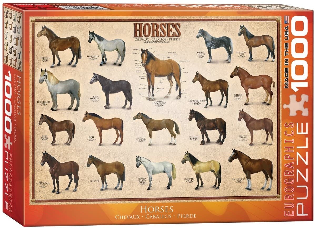Horses 1000 piece jigsaw puzzle by Eurographics  480mm x 680mm  (pz)