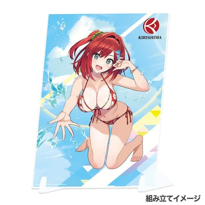 Dolphin Wave Visual Acrylic Plate Sakimiya Iruka (Swimsuit) view 2
