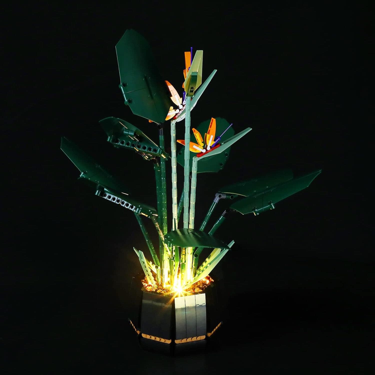 Briksmax LED Lighting Kit Bird of Paradise