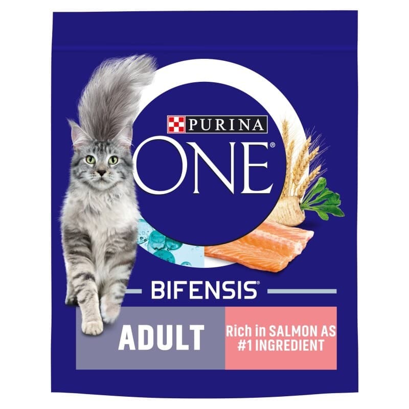 Purina ONE Adult Salmon and Whole Grains Dry Cat Food - 800g