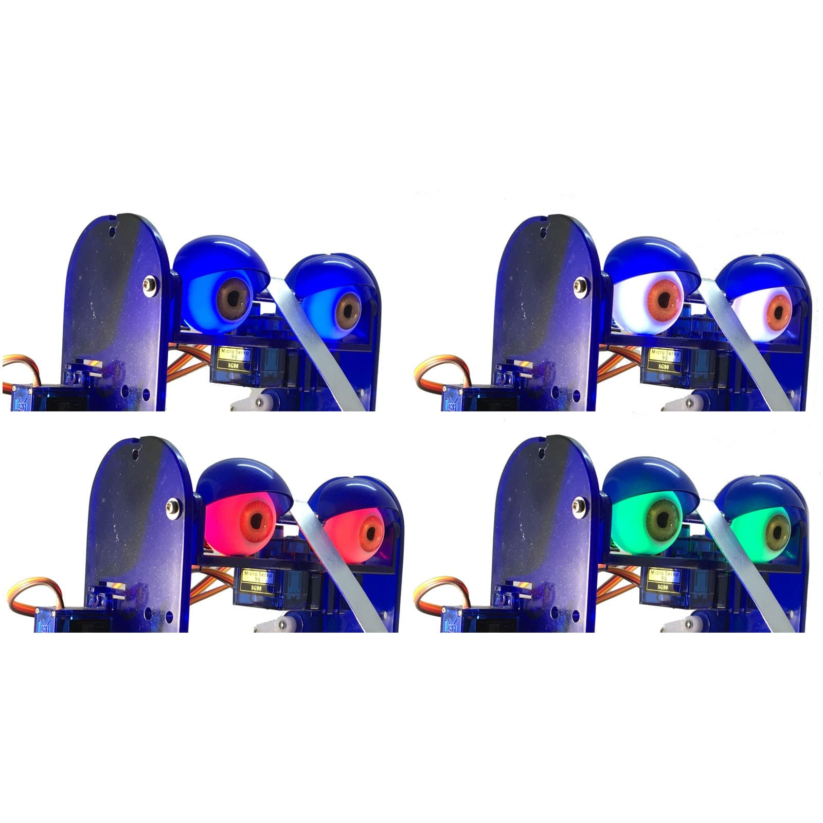 Ohbot Illuminating Eyes