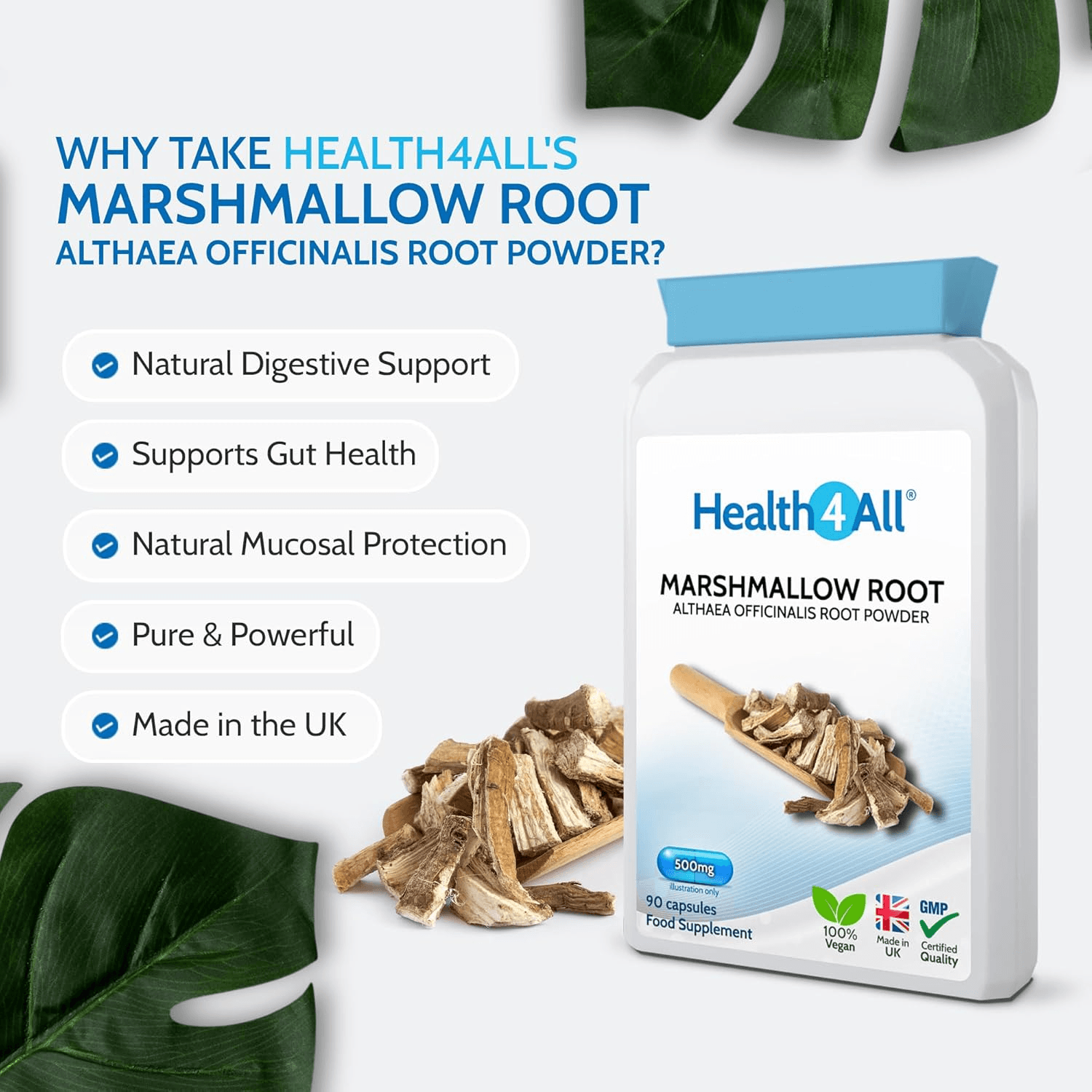Marshmallow Root 500Mg per Capsule| 90 Capsules| Digestive and Resporatory Health view 2