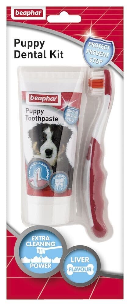 Beaphar Tooth Dental Care Kit for Puppies Pup Small Dogs Liver Flavour