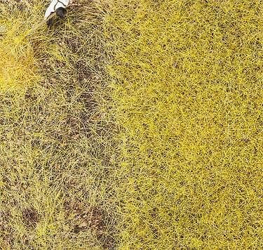 Faller 170776 Straw 6mm Premium Ground Cover Fibres (30g)