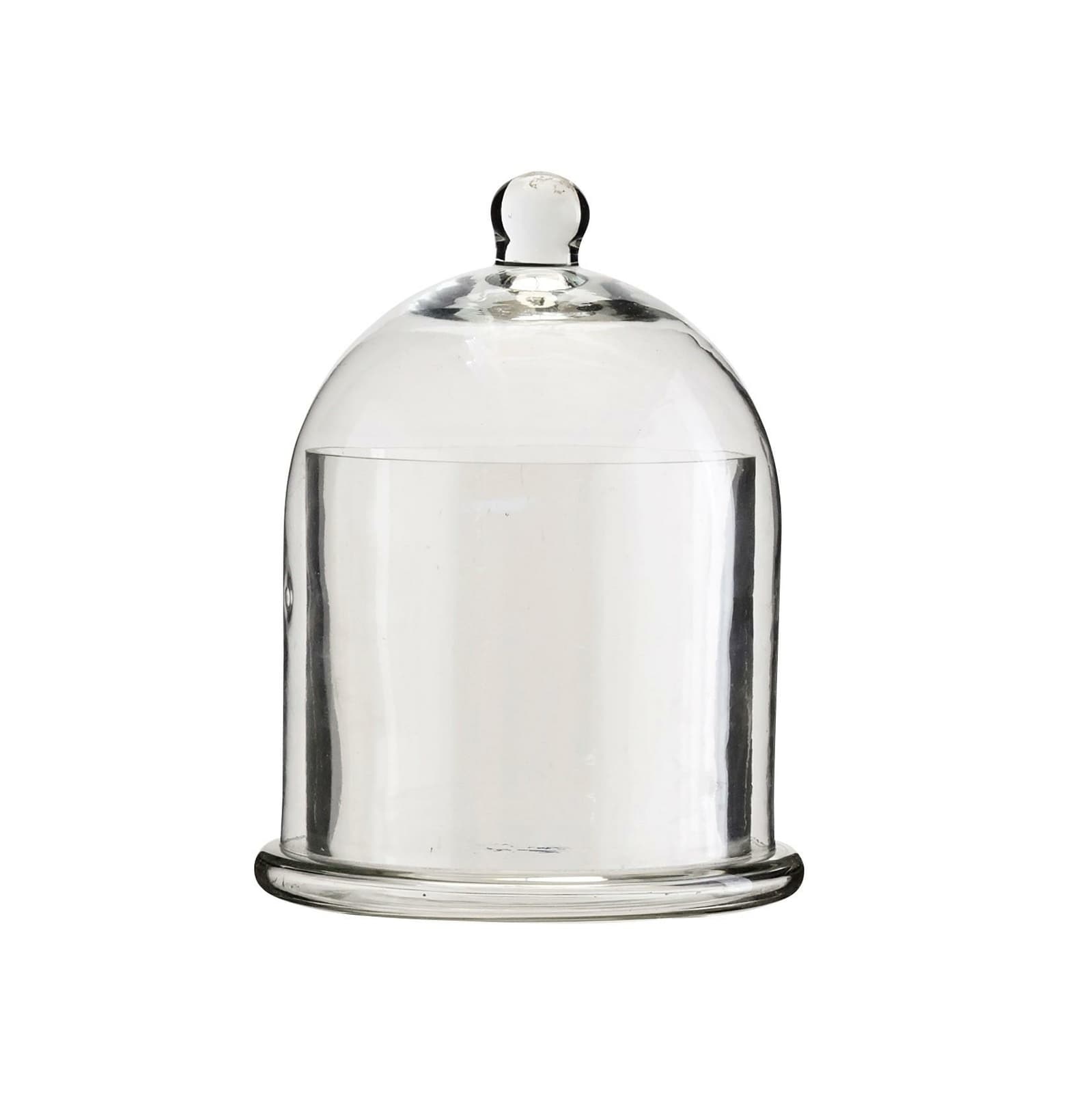 Glass Cloche Display Dome| Tall Bell Jar Food Cover Kitchen Garden Rim 13x18
