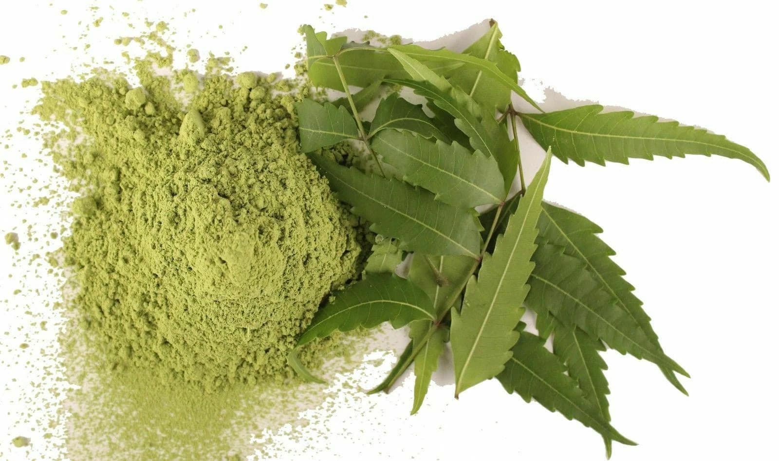 Neem Powder Organic Neem leaf powder Neem powder for hair Express Ship