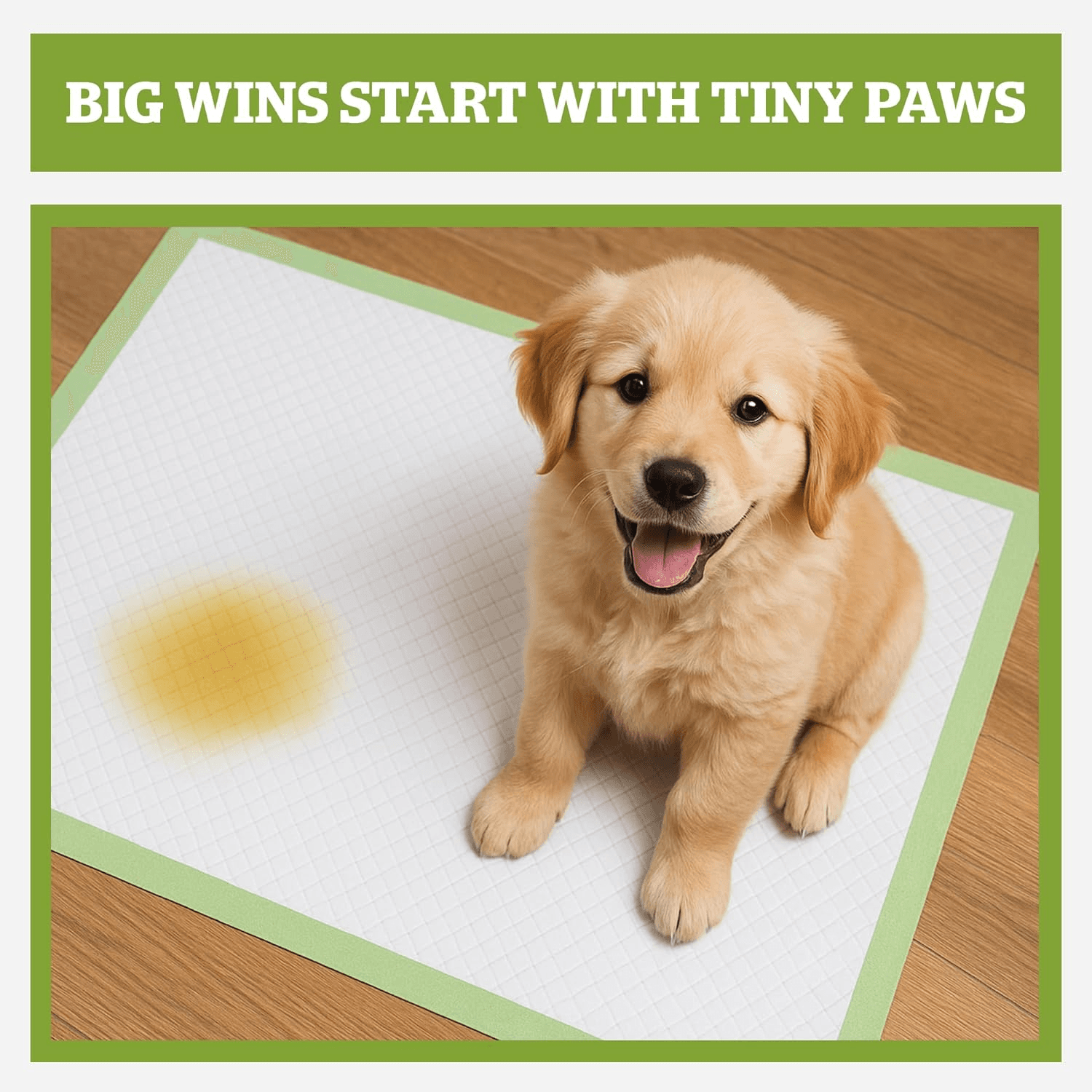 Pogi'S Dog Training Pads with Sticky Tabs – Eco-Friendly| Odour Blocking and Super view 2