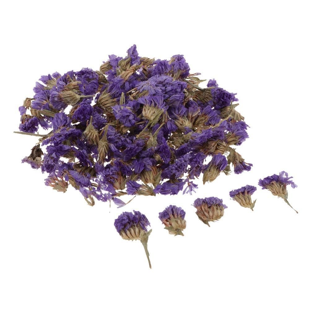 5 Bags Pressed Dried Flower Herbarium