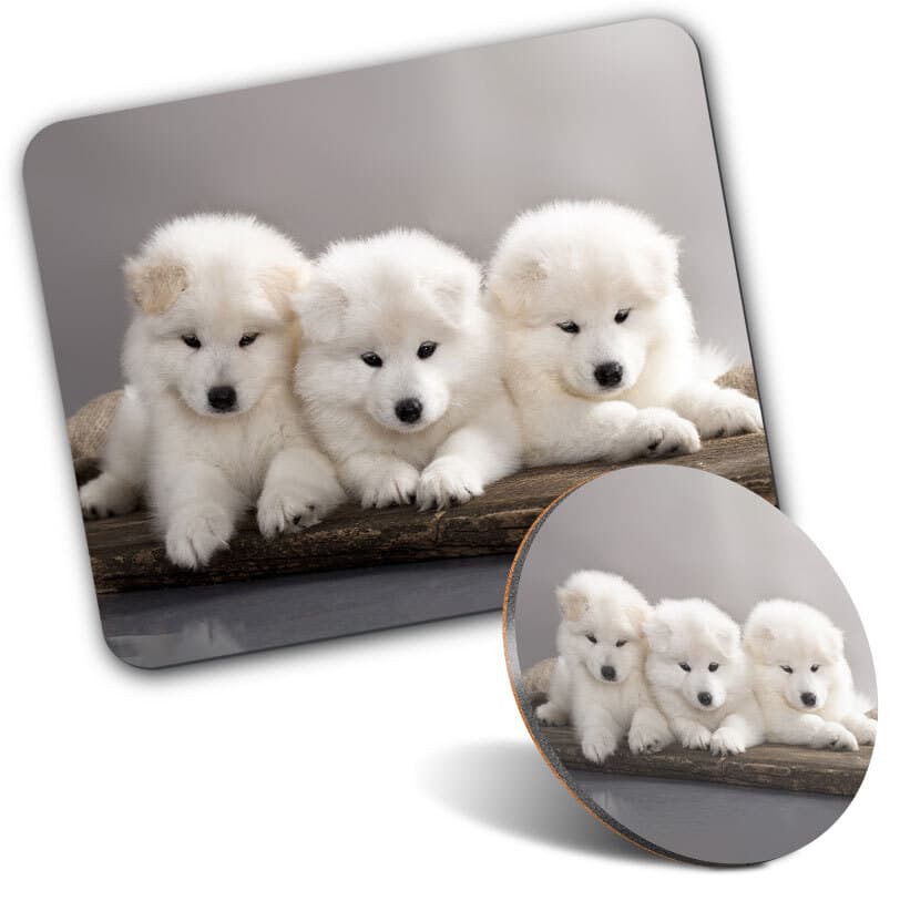 1 Mouse Mat and 1 Round Coaster Samoyed Puppy Dogs Bjelkier Dog #51965