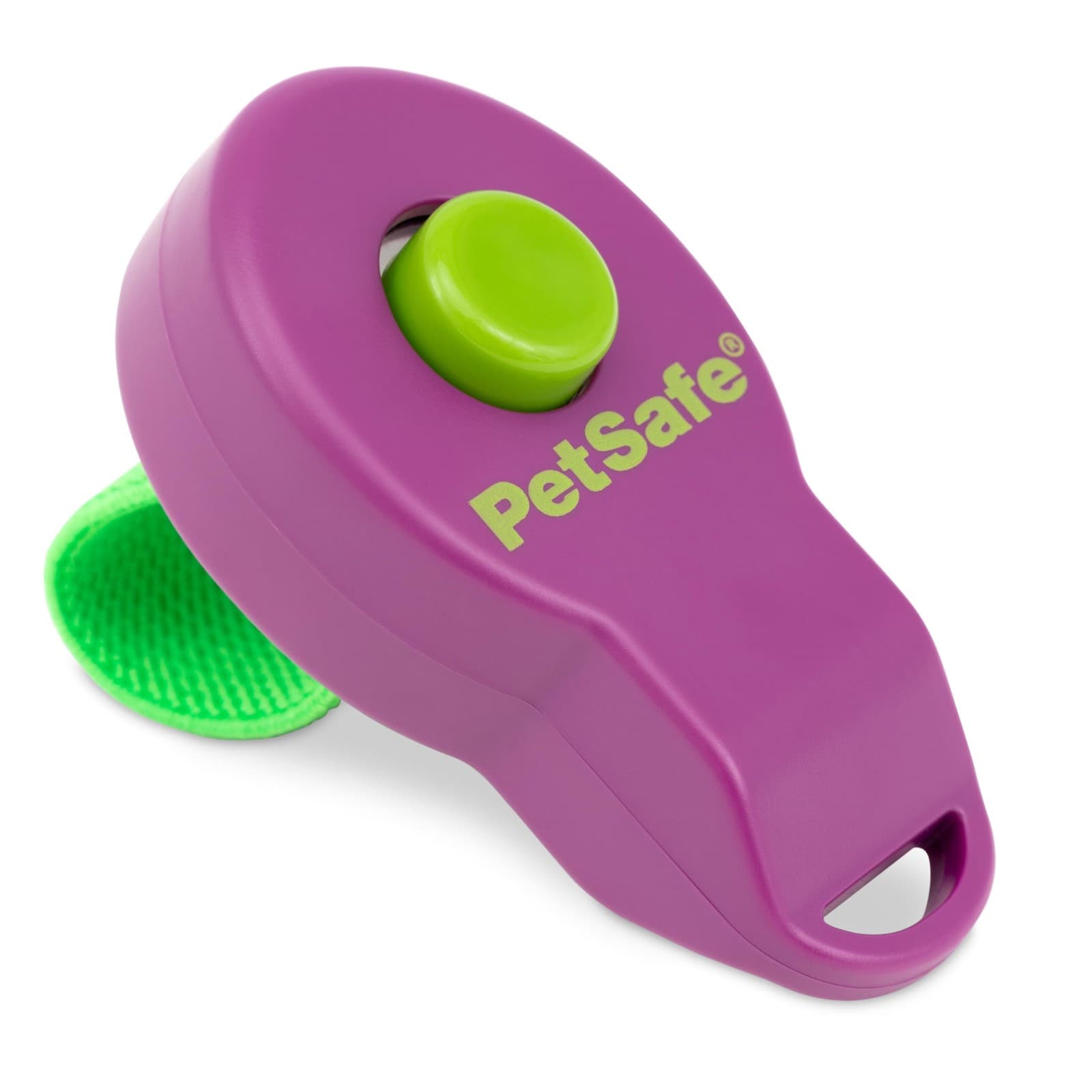 PetSafe Clik-R Training Tool| Purple 1 Count (Pack of 1)| purple