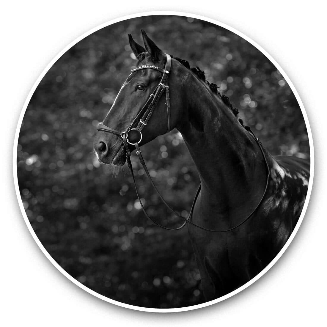 2 x Vinyl Stickers 20cm (bw) - Majestic Horse Dressage Equine  #42545