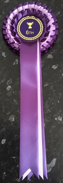 Individual Placing 3 Tier Rosettes for any event| 68mm centre in quality satin.