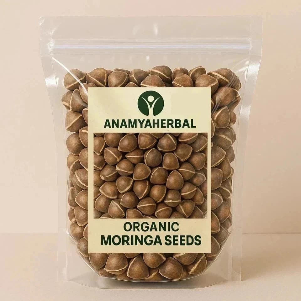 Moringa Oleifera Seeds and kernals Fresh Organic Semillas de Moringa Tree