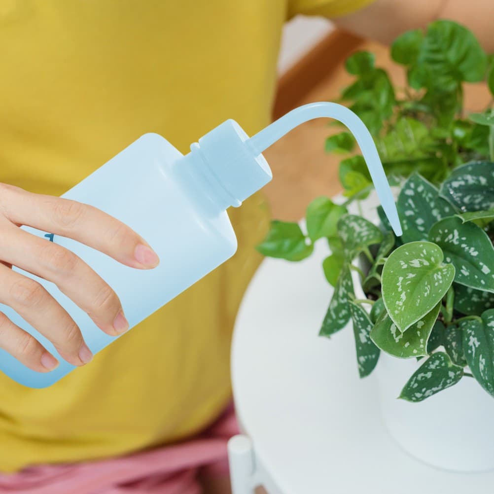 4 Pcs Plants Watering Bottles Women Eyelashes Cleansing Rinse