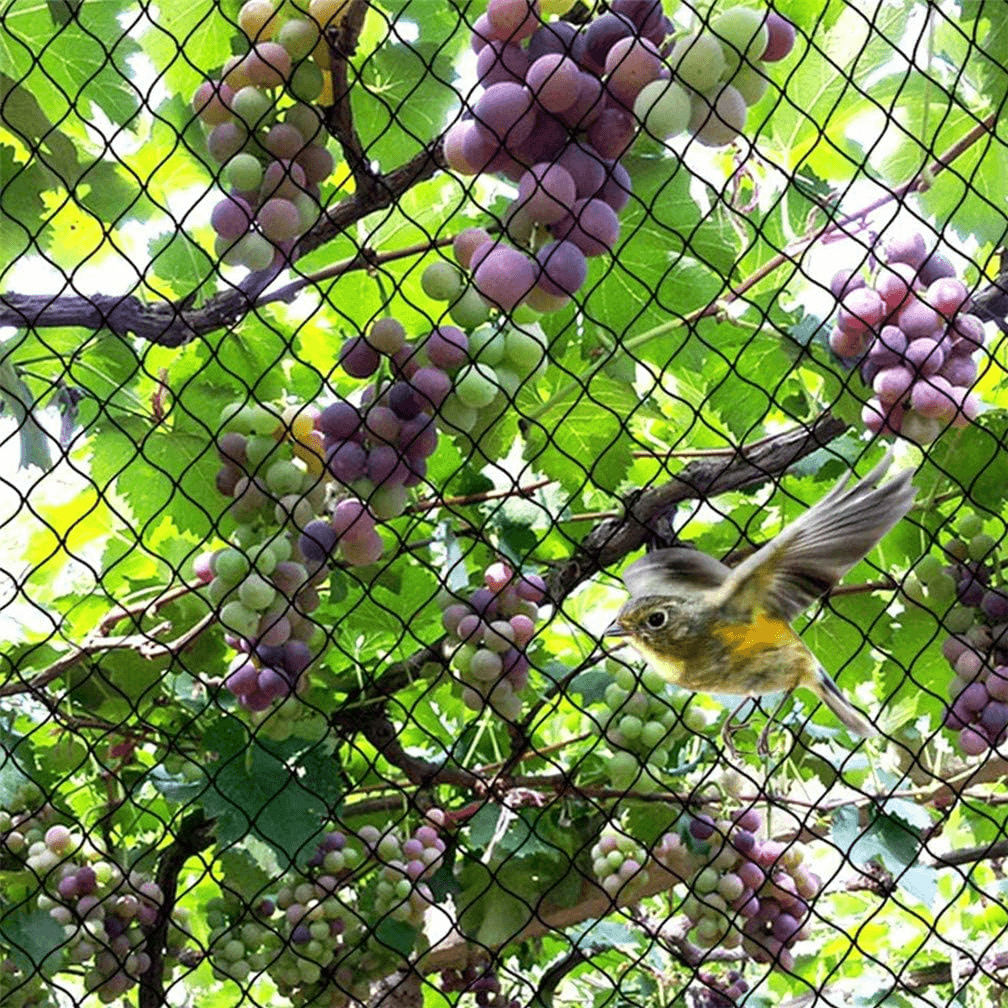 Bird Net 4X10M anti Bird Net Garden Plant Netting Pea Fruit Nets Pond Mesh view 2