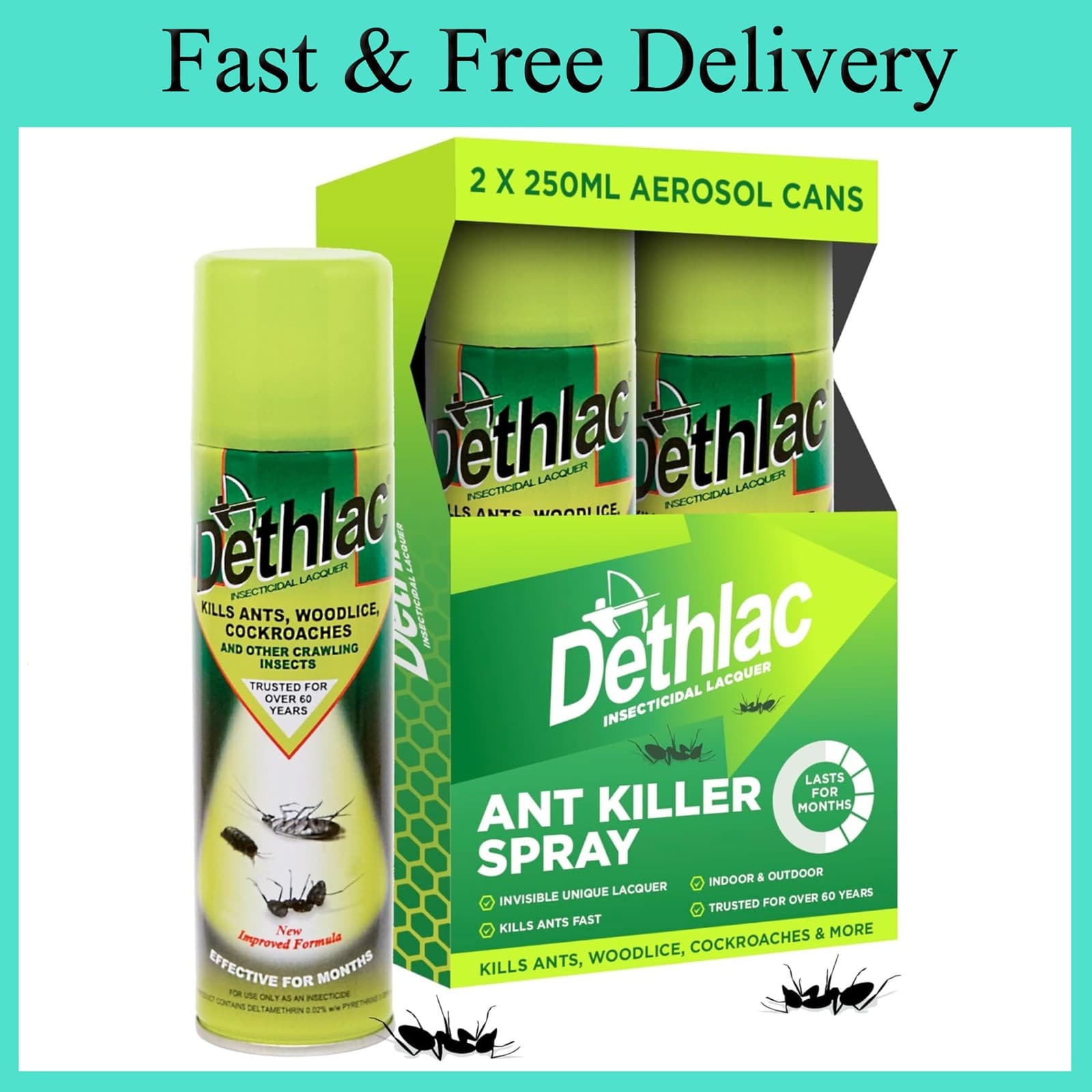 2 x Dethlac Spray | Ant Killer Indoor and Outdoor 250ml Aerosol | Insect Killer