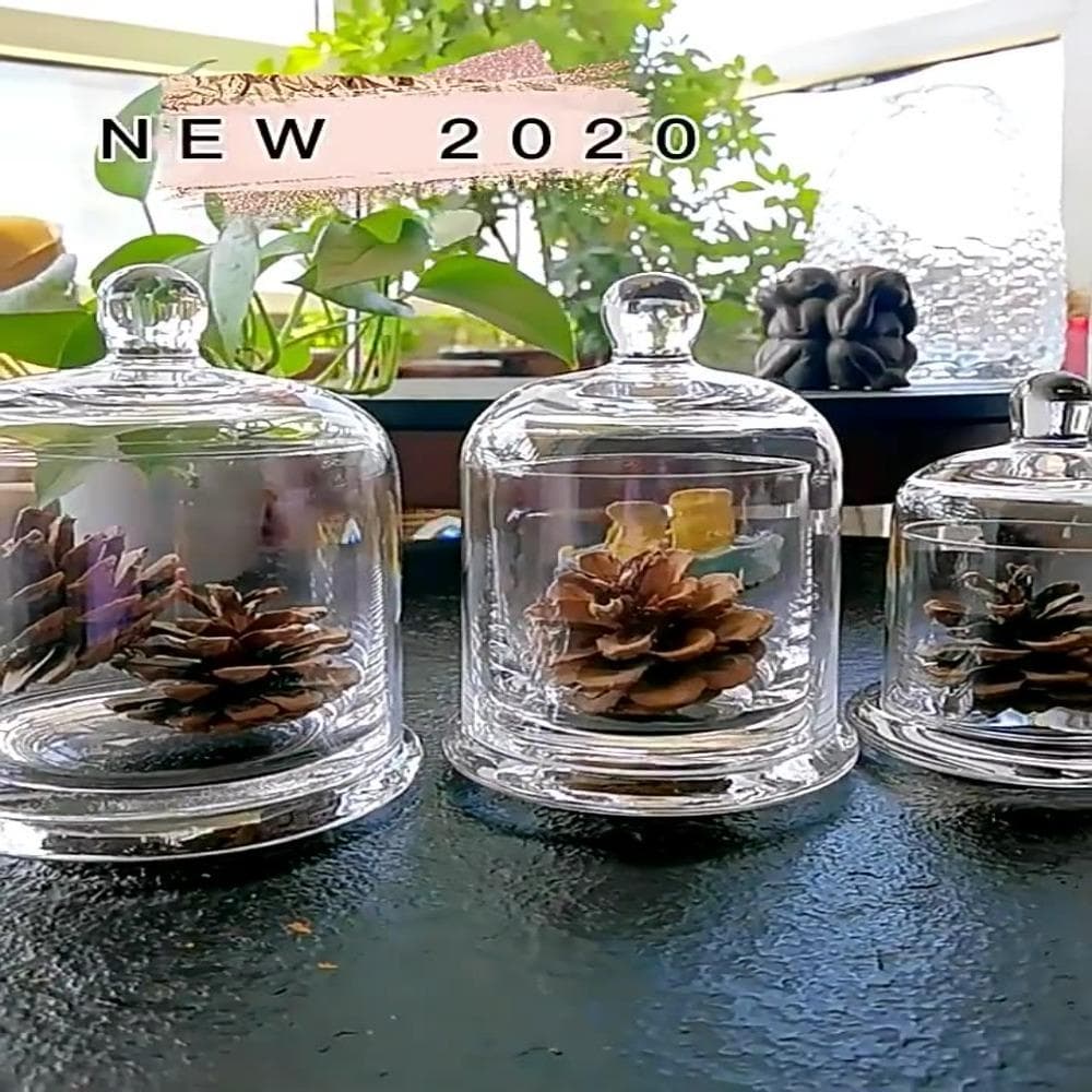 8 Colors Glass Storage Jar Eternal Life Flower Aromatherapy Candle Glass Cover  Bedroom Decoration purple