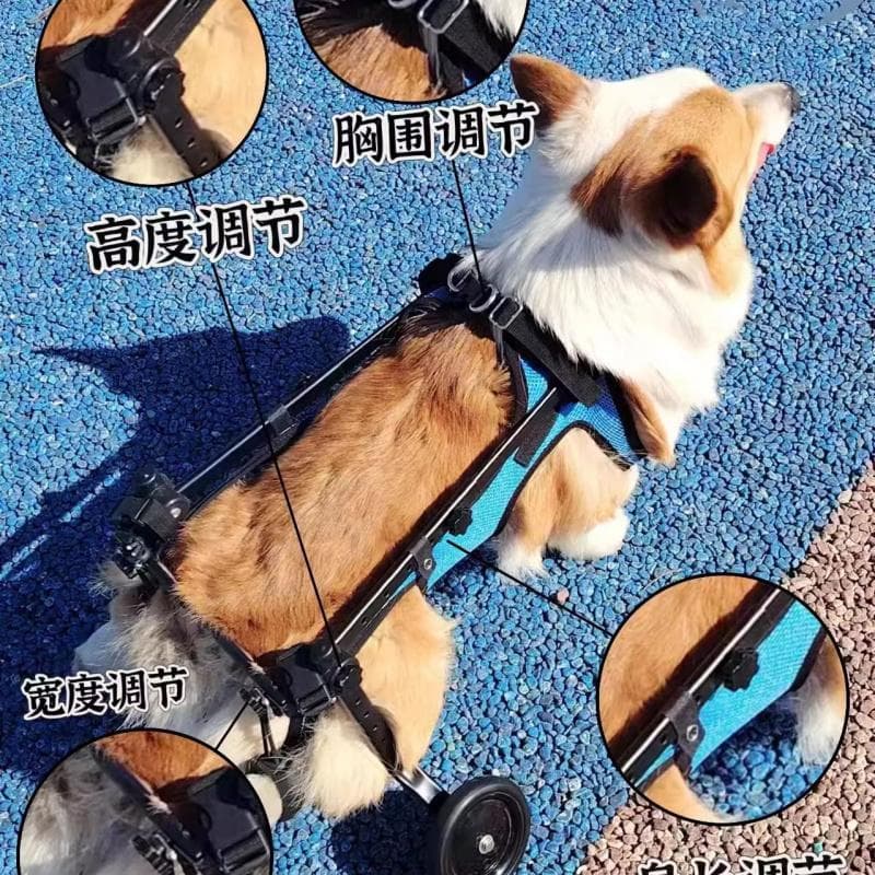 Pet walking wheelchair for elderly dogs with mobility issues