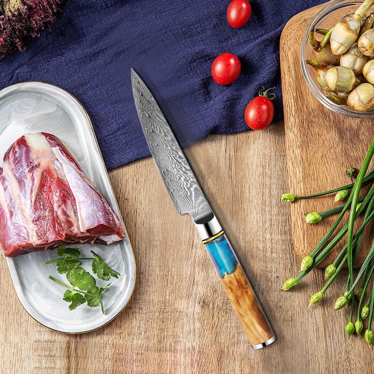 Fruit Knife 67 Layers Damascus Steel Kitchen Utility Knives Slicing Paring Knife