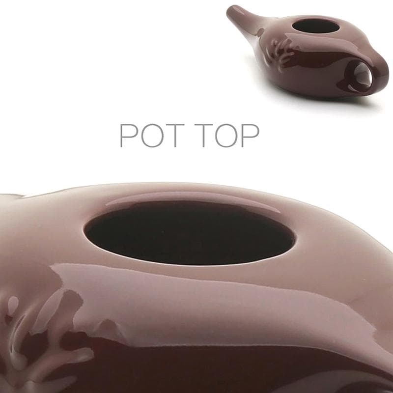 250Ml Ceramic Neti Pot Nasal Wash System Cleaner Nose Washing Kit For Sinus Rhinitis Allergy Nose Yoga Detox Rinse blue