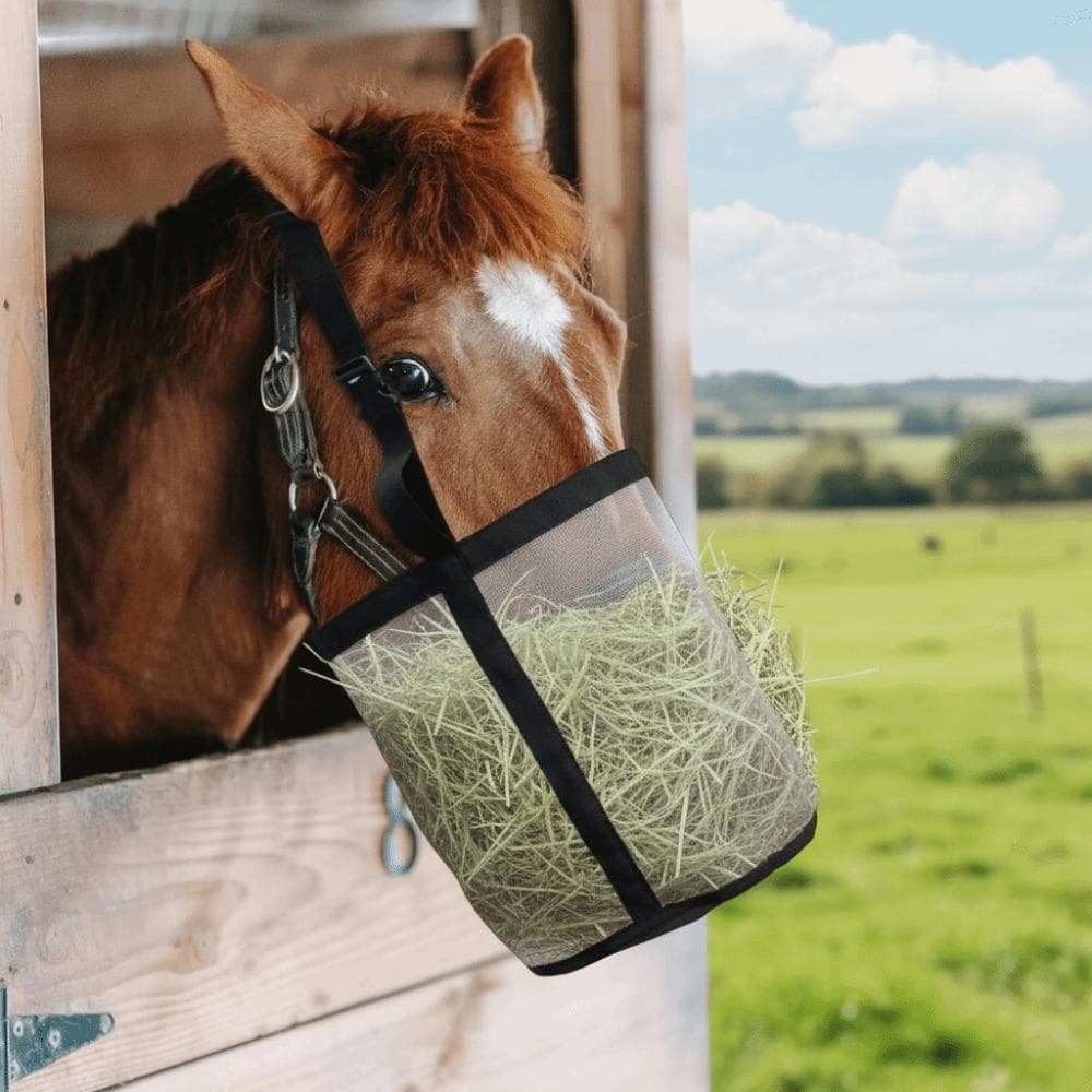 Multi-color Leak-Proof Horse Feeding Bag Elastic Adjustable Grazing Muzzle Mesh Breathable Hay Feeder Tote Grazing blue