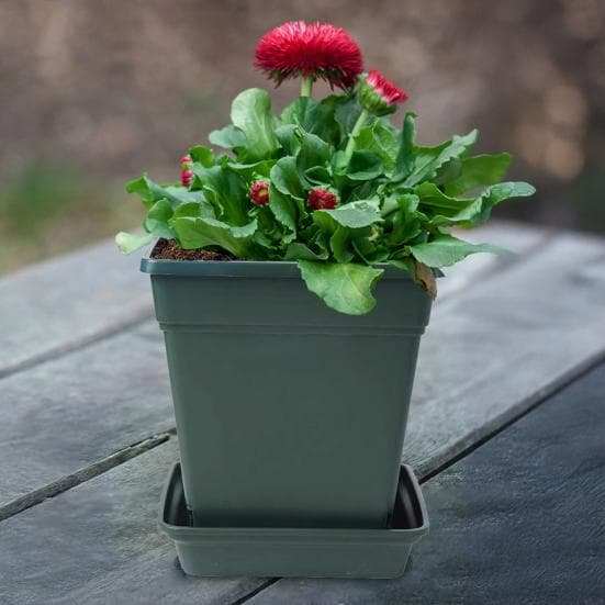 Yousheng Plant Saucer Square High Density Plastic Drip Tray Indoor Outdoor Garden Pots Overwatering Prevention Saucer