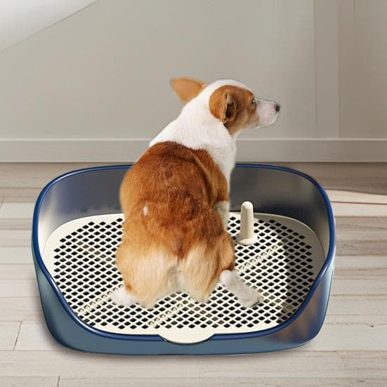 Pet Dog Toilet Portable Pet Lavatory with Protection Wall Potty Training Toilet with Grille Litter Box for Cat Puppy Small Medium Dogs blue