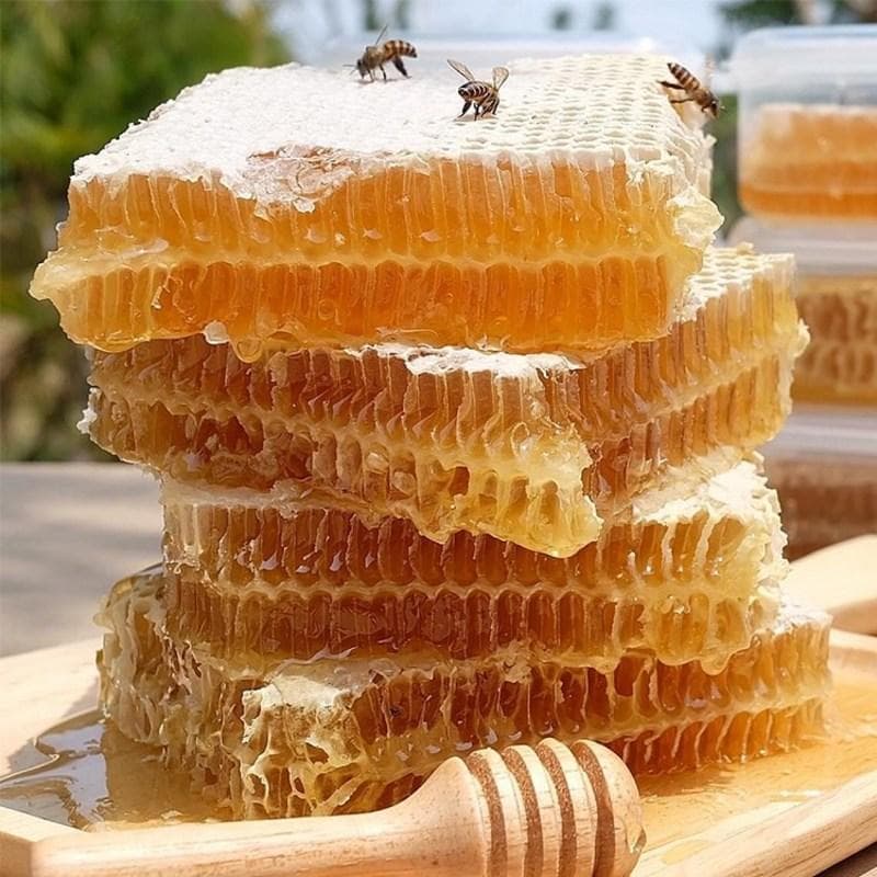Honeycomb honey gift set Honey 100% pack Beehive Native honeycomb, 110g, 1 piece