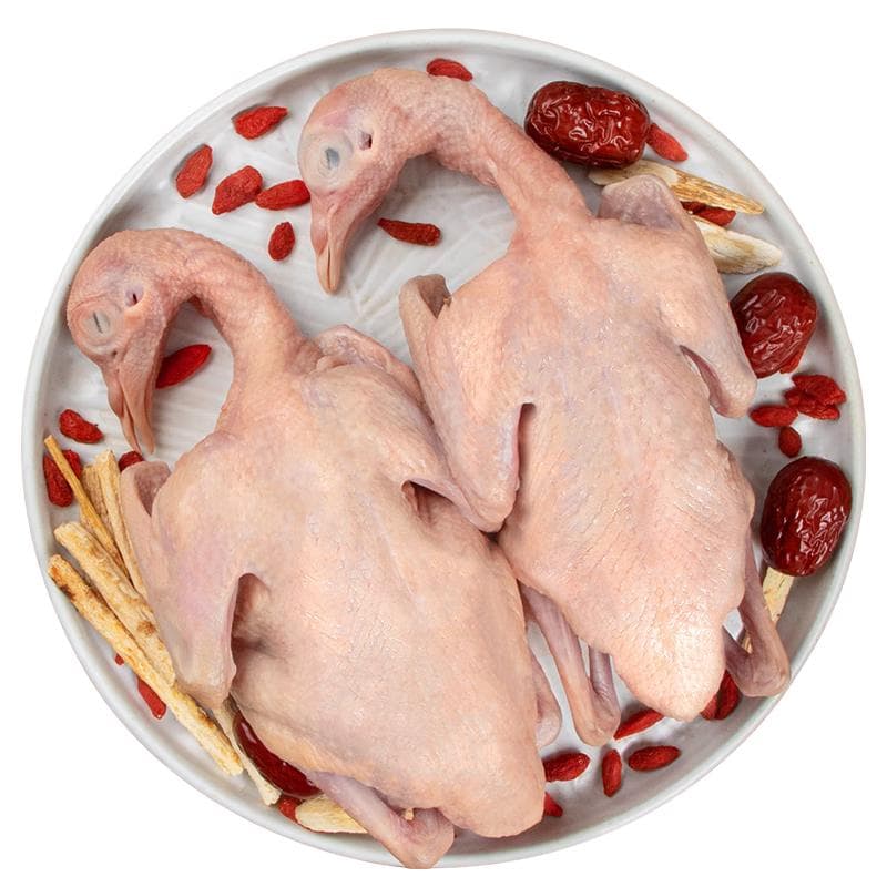 Frozen Whole Squab (2 x 270g)