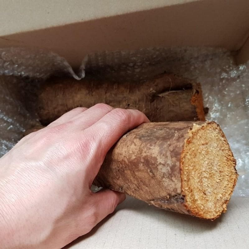 1 Kg Wild Wild Kudzu Root, Female Kudzu, Whole Kudzu
