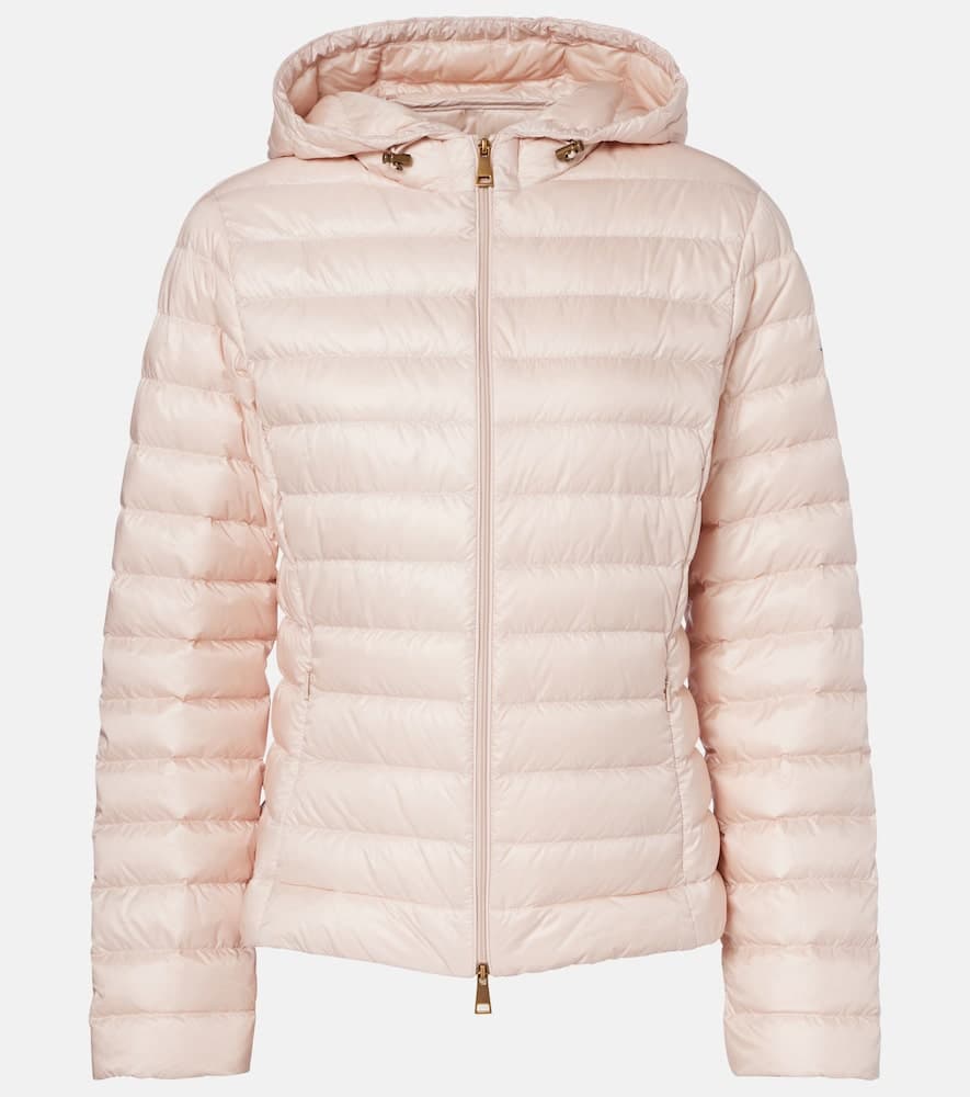 Moncler Igelhood down jacket