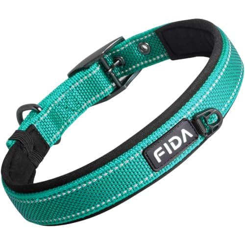 Fida Padded Dog Collar, Metal Belt Buckle Dog Collar for Small Dogs, Teal | Metal Belt Buckle for Safety, Soft Neoprene for Comfort, Reflective