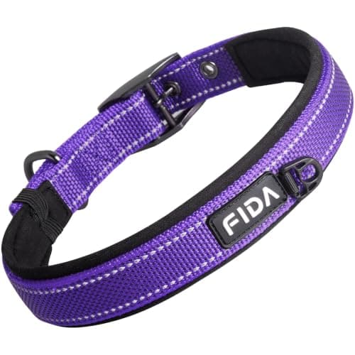 Fida Padded Dog Collar, Metal Belt Buckle Dog Collar for Small Dog, Purple | Metal Belt Buckle for Safety, Soft Neoprene for Comfort, Reflective