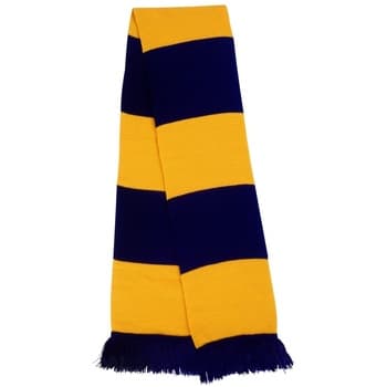 Result  R146X  men's Scarf in Multicolour
