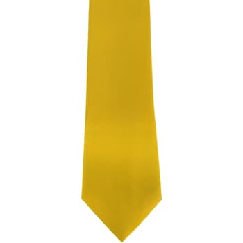 Premier  Satin  men's Scarf in Multicolour