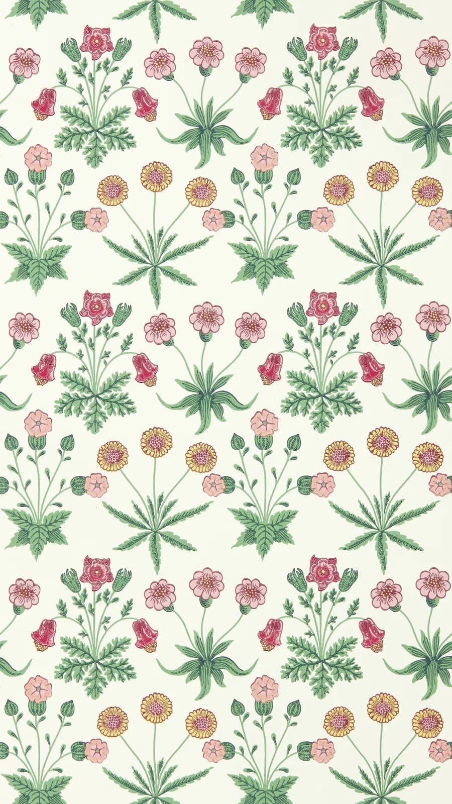 Daisy Strawberry Fields