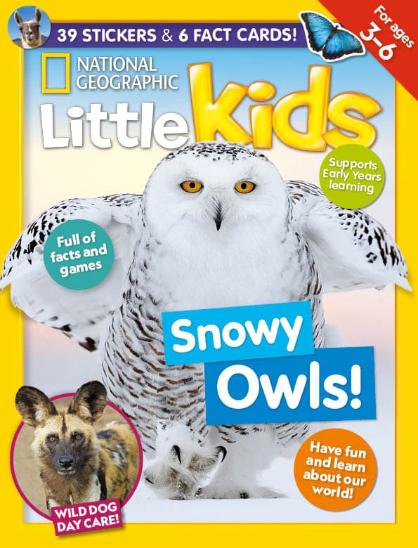 Nat Geo Little Kids Back Issues Jan 24 - 12