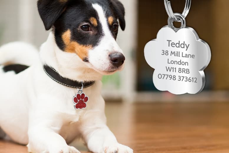 Personalised Engraved Glitter Paw Cat ID Tag - Durable Metal, Custom Cabin Font, 25mm | Wowcher