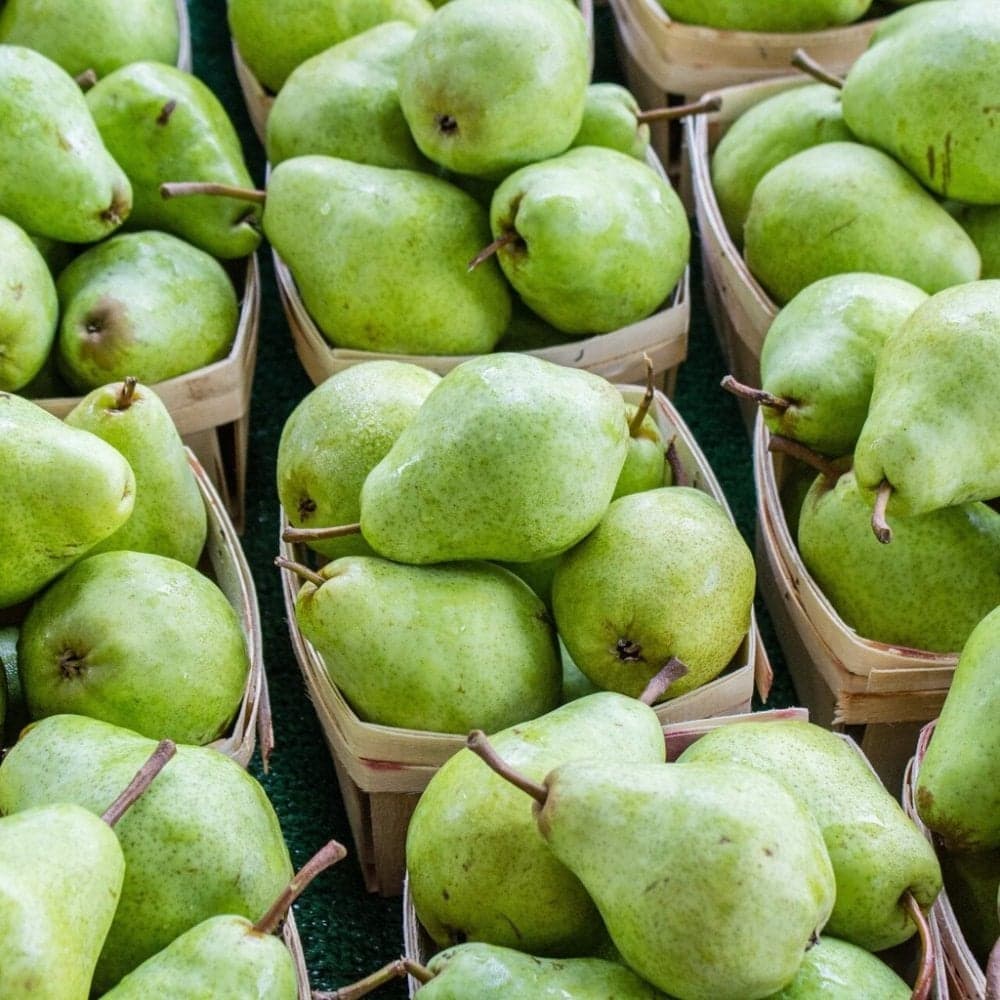 Lorains Pear Flavour Concentrate