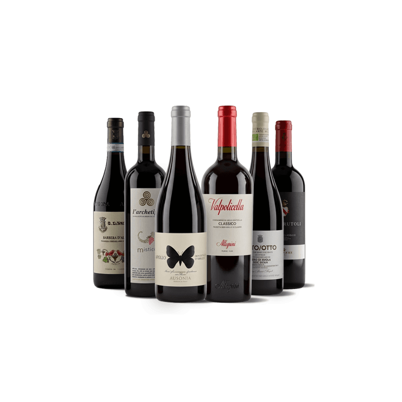 Conoce Italia a través de sus vinos