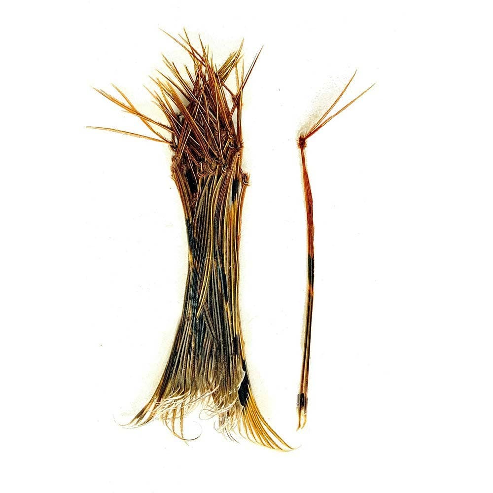 Veniard Hopper Legs
