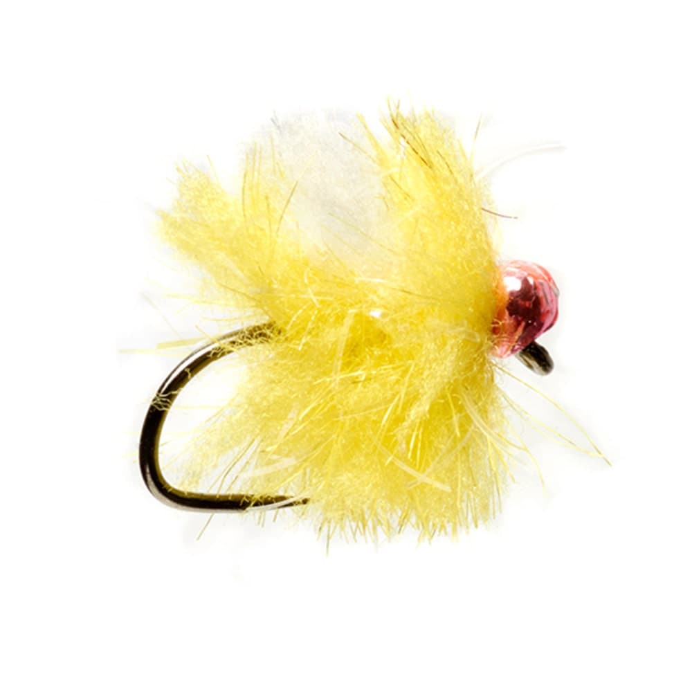 Fulling Mill Barbless Fire Spot Egg Sunburst Bug